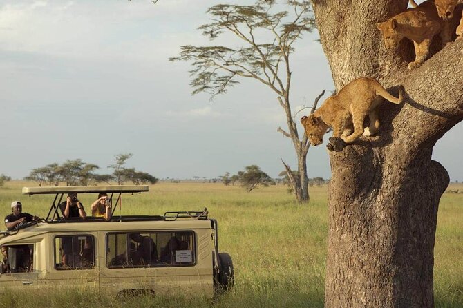 3 Days Safari to Serengeti National Park & Ngorongoro Crater in Tanzania - Itinerary Breakdown