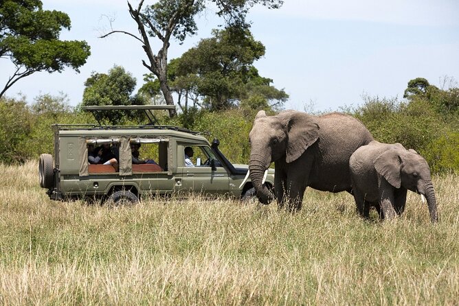 3 Days Safari Tour to Serengeti National Park - Key Points