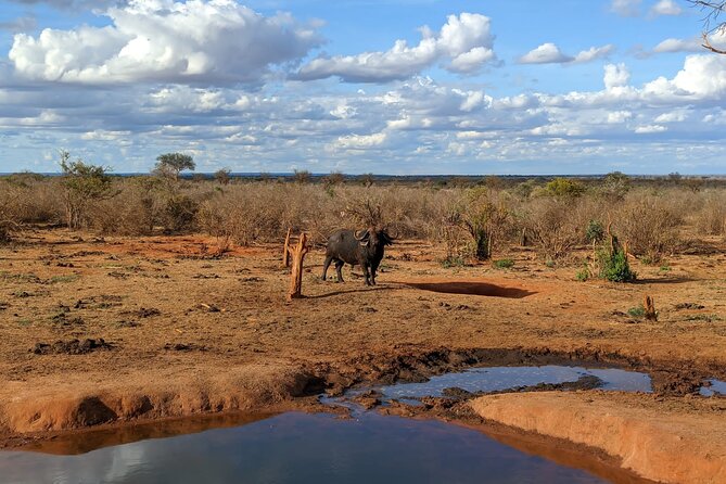 3 Days Safari Tsavo East and Taita Hills Saltlick Lodge - Wildlife Viewing Opportunities