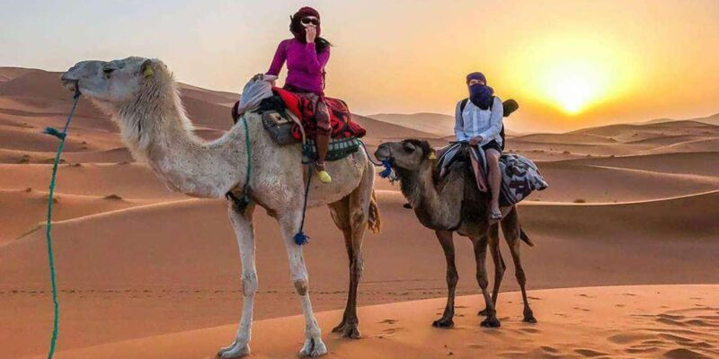 3 Days Sahara Desert From Marrakech - Immerse in the Rose Valley
