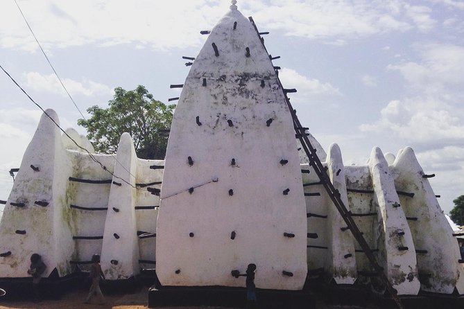 3 Days Sunrise Elephant Safari-Mole Park With -Round Trip Flight - Key Points