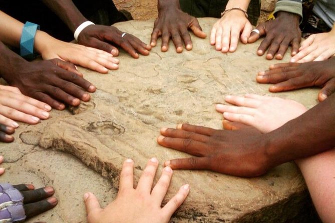 3 Days Sunrise Elephant Safari-Mole Park With -Round Trip Flight - Guest Reviews and Ratings