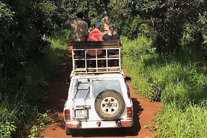 3 Days Sunrise Elephant Safari-Mole Park With -Round Trip Flight - How to Book the Tour