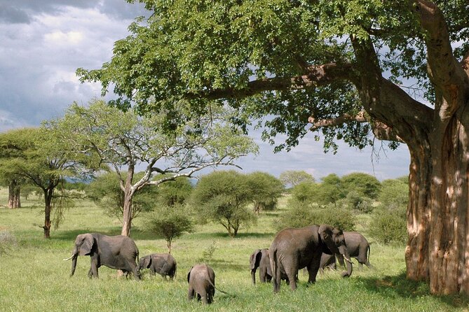 3 Days Tanzania Private Budget Safari to Serengeti & Ngorongoro - Inclusions and Exclusions