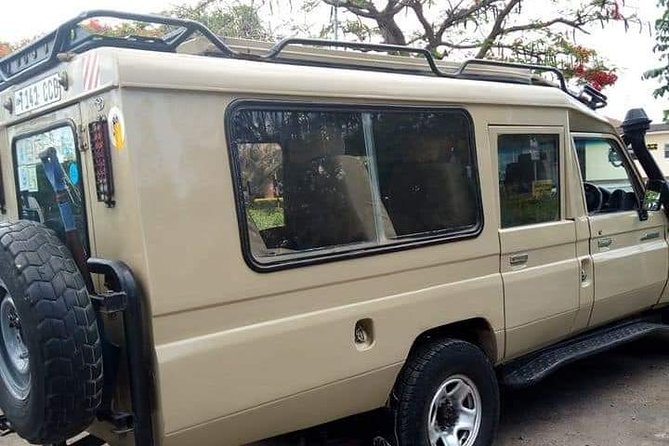 3 Days Tanzania Safari - Tarangire, Ngorongoro, Manyara - Day 3: Lake Manyara National Park