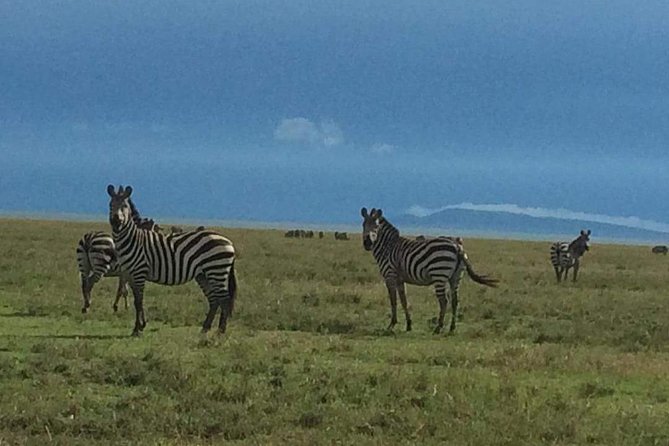 3 Days Tarangire, Lake Manyara and Ngorongoro - Safari Overview