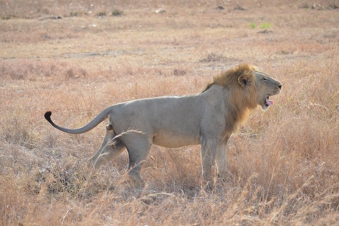 3 Days to Mikumi National Park From Dar Es Salaam - Inclusion Details