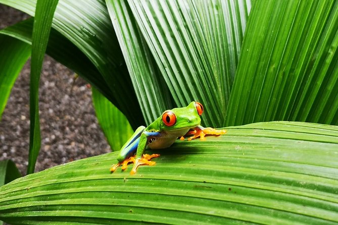 3-Days Tortuguero National Park Eco Adventure Tour - Cancellation and Refund Policy