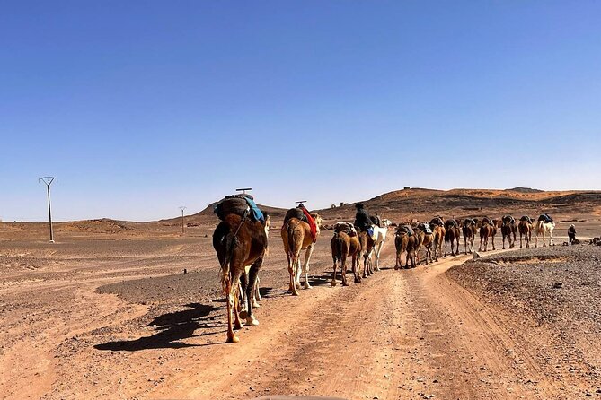 3 Days Tour From Errachidia To Merzouga With Safari & Camel Trekk - Tour Accessibility and Requirements