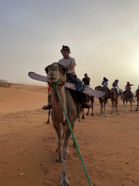 3-Days-Tour From Marrakech to Fes in Shared Group Trips - Day 2: Dades Valley to Merzouga