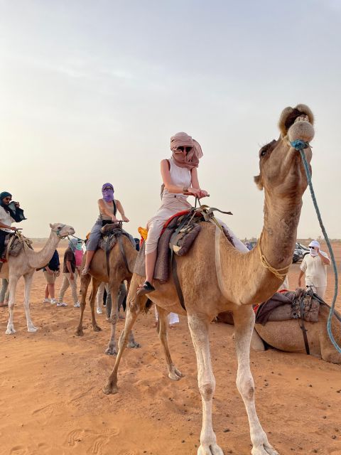 3-Days-Tour From Marrakech to Fes in Shared Group Trips - Transportation and Accessibility