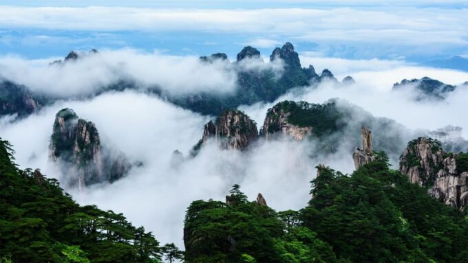 3 Days Tour Shanghai Huangshan & Hangzhou by Bullet Trains - Flexible Cancellation Policy