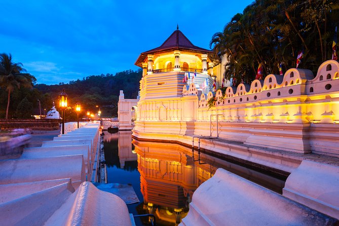 3 Days Tour to Kandy Nuwara Eliya & Sigiriya From Colombo - Customer Experiences
