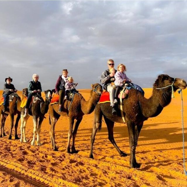 3 Days Tour to Merzouga Dunes and Camel Trek - Day 3: Merzouga to Marrakech