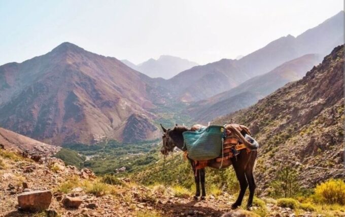 3 Days Trek Atlas Mountains Berber Villages From Marrakech - Booking Flexibility and Cancellation Policy