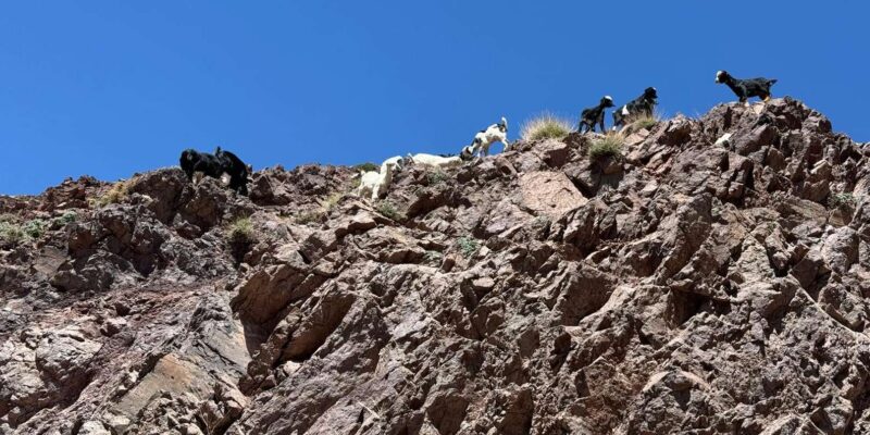 3 Days Trek in High Atlas Mountains - Booking and Meeting Point