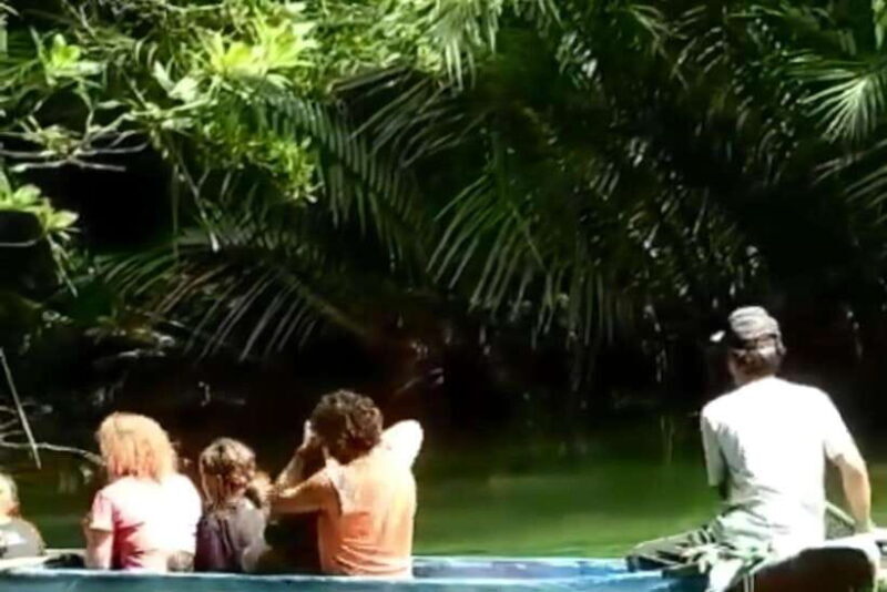 3 Days Ujung Kulon National Park Private Guided Tour - A Close Look at the Ujung Kulon Experience