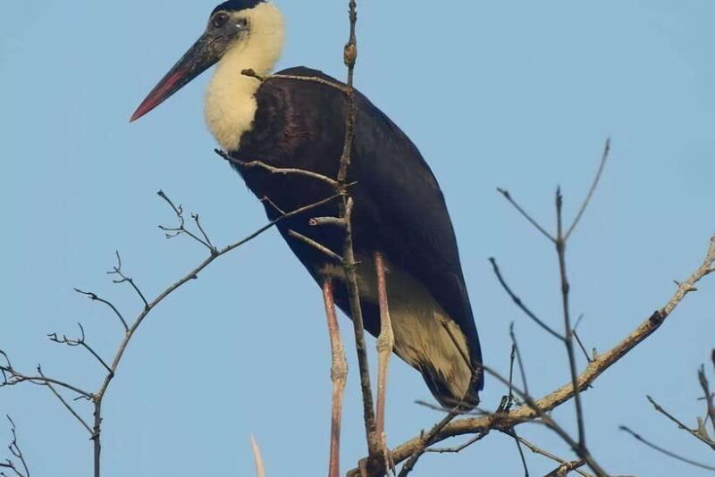 3 Days Ujung Kulon National Park Private Guided Tour - Final Thoughts: A Genuine Wilderness Escape