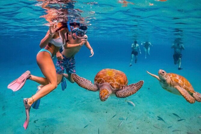 3-Hour ATV Can-Am Adventure Tour in Willemstad, Curaçao - Who Should Consider This Tour?