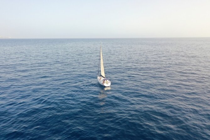 3-Hour Cetacean Watching and Snorkeling Tour in Tenerife - Pricing and Cancellation Policy