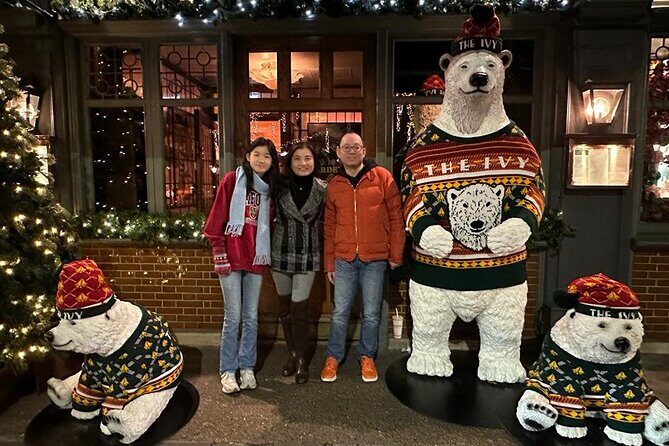 3-Hour Christmas Lights and Markets London Taxi Tour - Who Will Love This Tour?