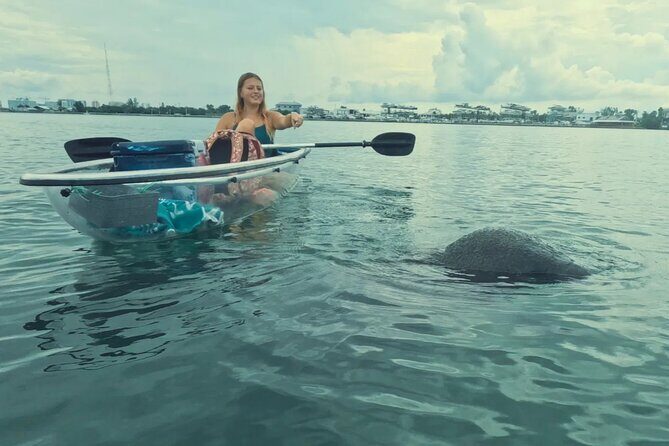 3-Hour Clear Kayak Beach Hopping Adventure in Sarasota - A Closer Look at the Sarasota Clear Kayak Experience  
