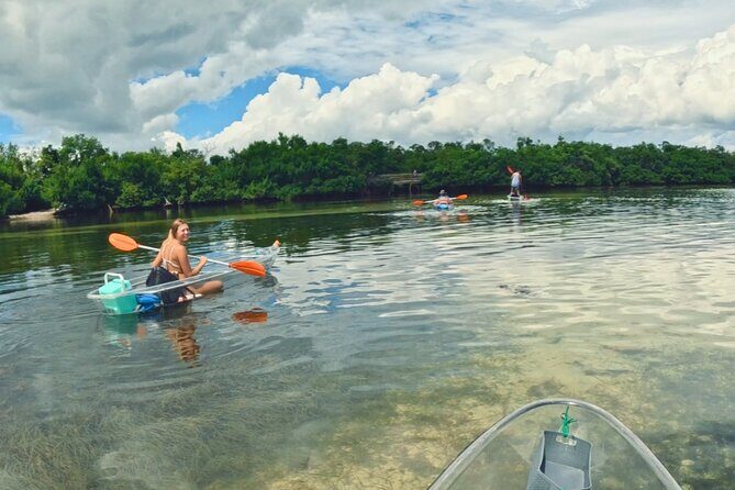 3-Hour Clear Kayak Beach Hopping Adventure in Sarasota - Final Thoughts: Who Should Consider This Experience  