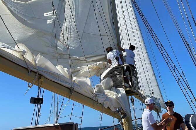 3 Hour Cruise Experience from Vilamoura - FAQ