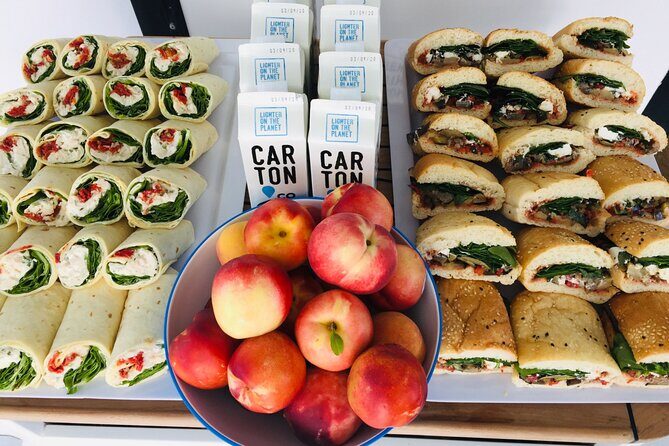 3 hour Dolphin and Seal Swim (NOV-APR) - Reviews: The Voice of Past Travelers