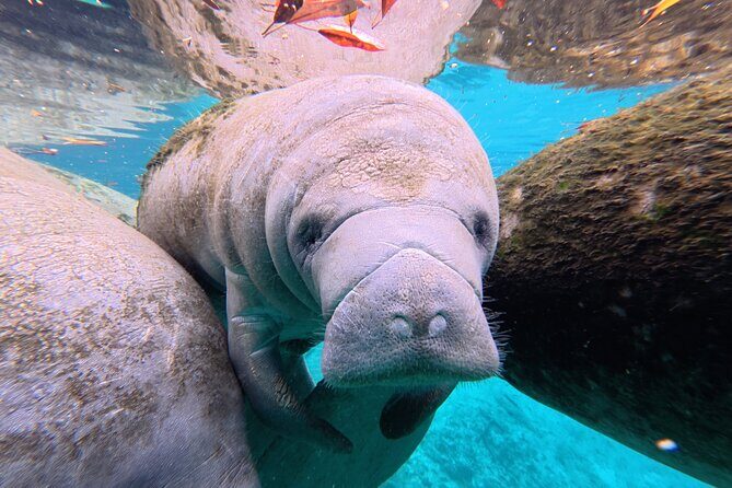 3 Hour Double Kayak Rental - The Sum Up