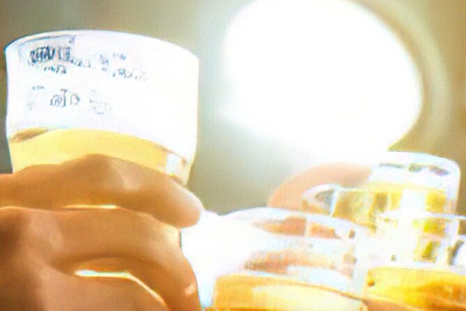 3-Hour Drinks on Foot Dublin Walking Guided Tour - Customer Experiences