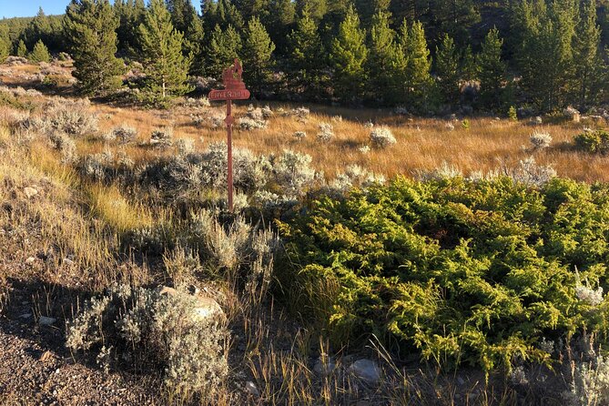 3-Hour E-Bike Tour of Trail of the Silver Kings (Old Mine Tour) - Meeting and End Points