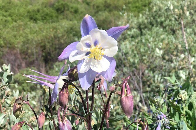 3- Hour E-Bike Tour of Turquoise Lake - How the Tour Is Structured