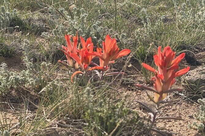 3 Hour E Bike Tour to St. Elmo Ghost Town - FAQs