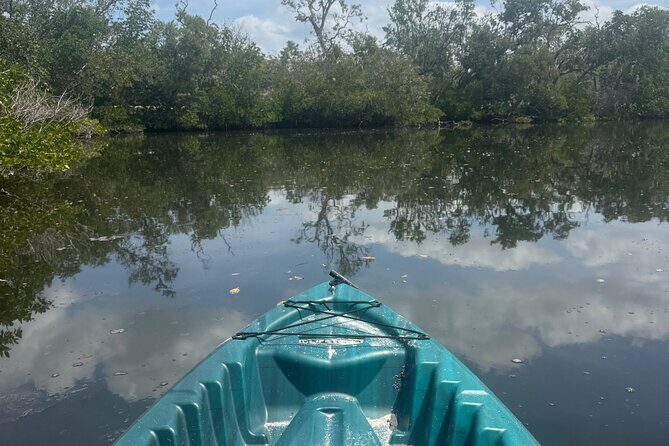 3 hour E.G. Simmons Park Mangrove Tunnel Tour - Key Points
