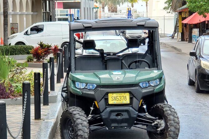 3 Hour Guided Beach buggy sightseeing city tour. (Free samples). - Transportation, Group Size, and Overall Value