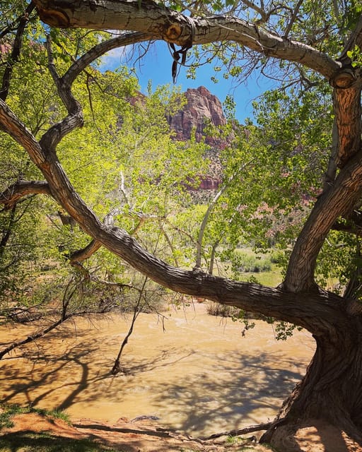 3 Hour Guided Ebike Tour in Zion National Park - How to Prepare for Your Tour
