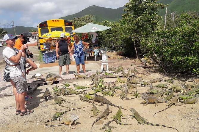 3-Hour Guided Jeep Tour Island Highlights and 1-Hour Relax by Beach - Traveler Capacity