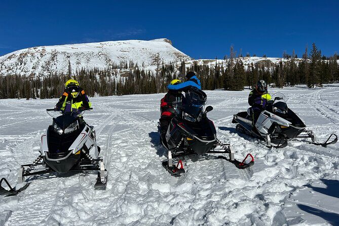 3 Hour Guided Snowmobile Trail Adventure - Real Traveler Insights