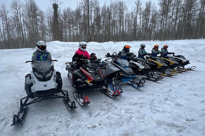 3 Hour Guided Snowmobile Trail Adventure - The Sum Up