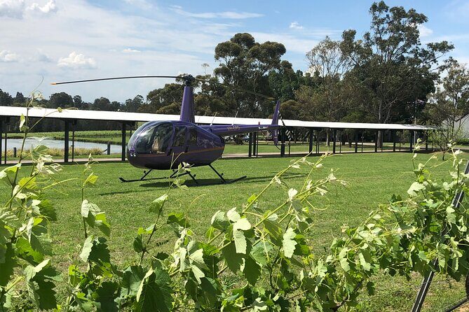 3 Hour Helicopter Wine Tasting Tour in Hunter Valley - Key Points