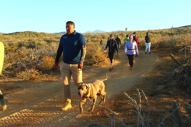 3 Hour Hiking Activity at the Hidden Arch Of Los Cabos - Who Will Most Enjoy This Tour?