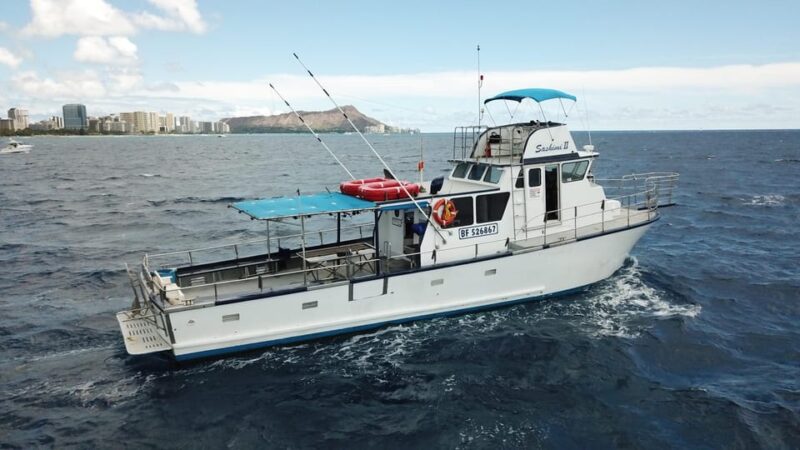 3-Hour Honolulu Bottom Fishing Adventure - Experience and Highlights