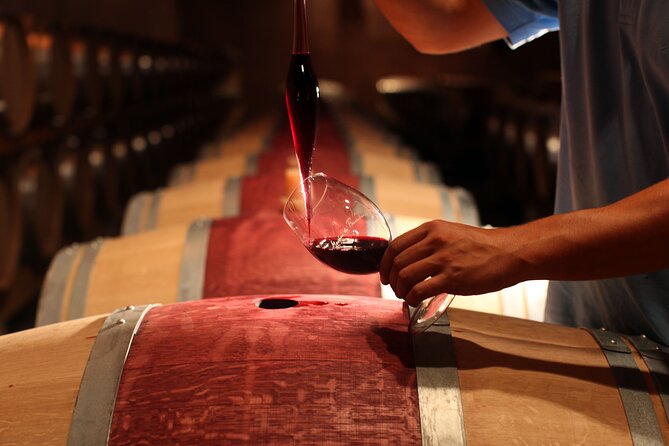 3 Hour Horse Ride to a Castle for Wine Tasting and Snack Lunch - Good To Know