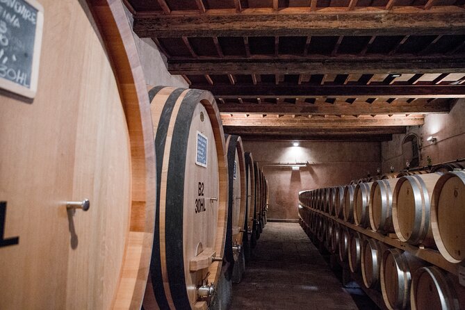 3 Hour Horse Ride to a Castle for Wine Tasting and Snack Lunch - The Historic Wine Estate