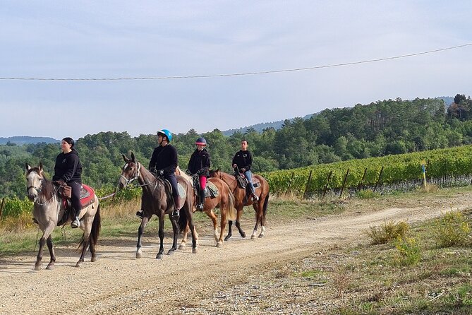 3 Hour Horse Ride to a Castle for Wine Tasting and Snack Lunch - Booking Your Adventure