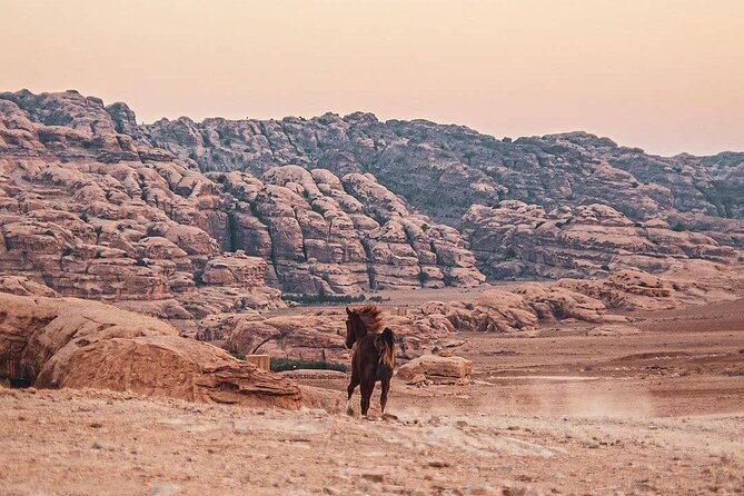 3 Hour Horse Riding Adventure Around the Petra Area - Frequently Asked Questions