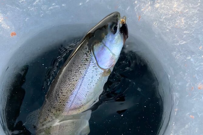 3 Hour Ice Fishing Experience - Participant Experience