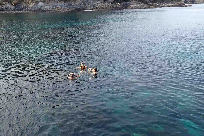 3-Hour Kayak and Snorkeling Experience in Batemans Bay - What the Reviews Say  