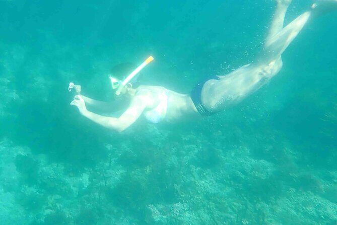 3-Hour Kayak and Snorkeling Experience in Batemans Bay - Price & Value Analysis  